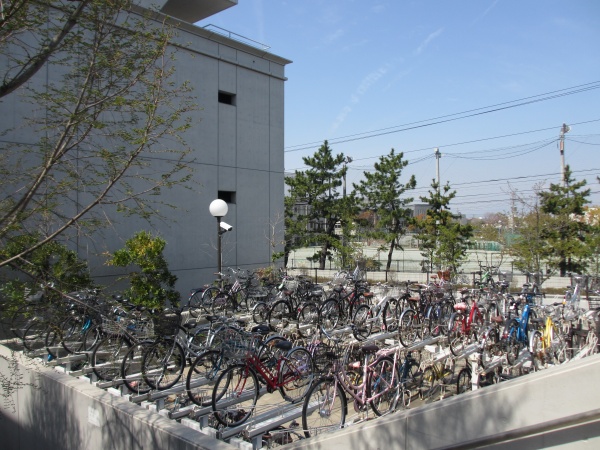 昭和 第 一 学園 自転車 通学