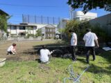 ひまわり🌻たち…実を結び始めてます🌱